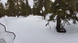 Покатушки# мотобуксировщик "белка"