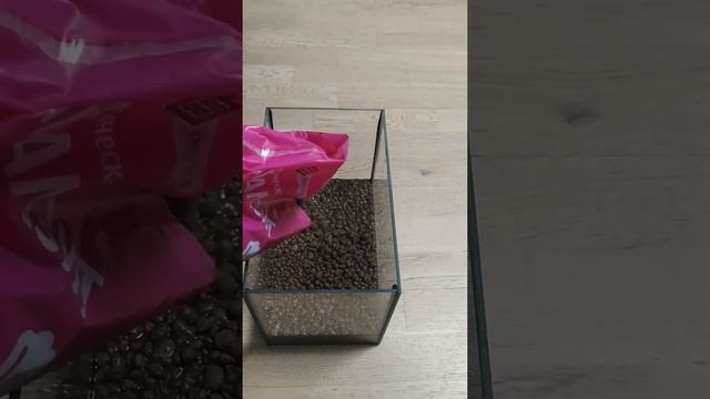 Сажаем анубиас смотреть онлайн