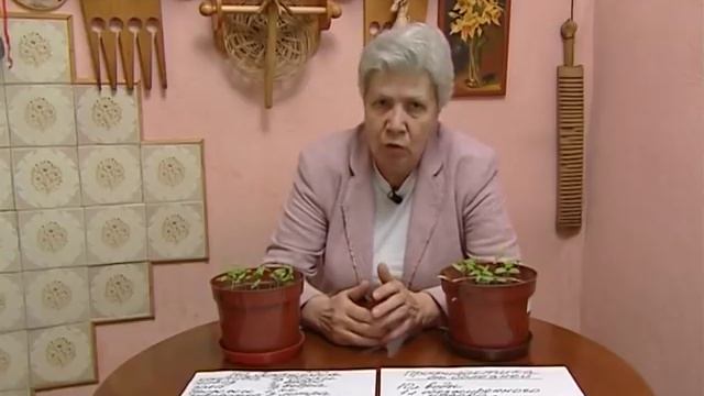 Полезные коктейли для томатов смотреть онлайн