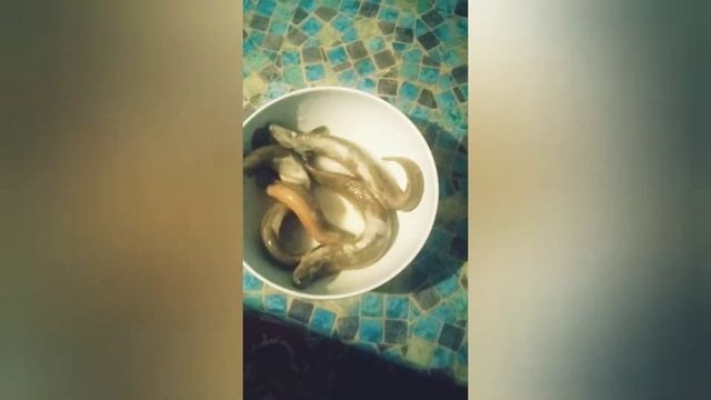 Чистка Вьюнов смотреть онлайн
