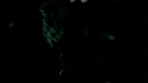 Лика Стар - Одинокая Луна