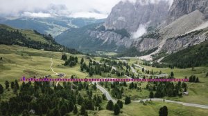 Индира Омарова – Гьей урши 2024