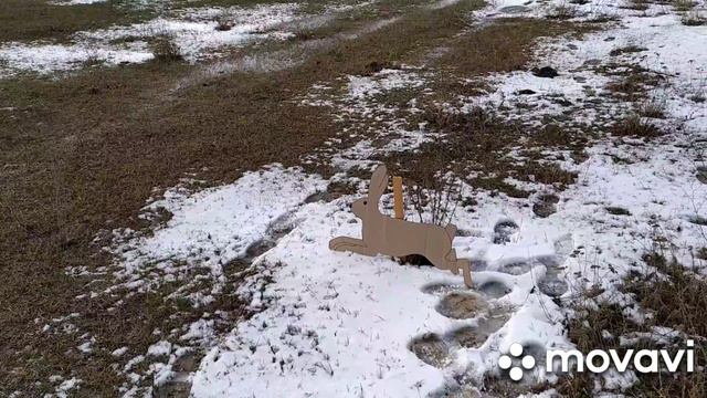 Охота на картонных зайцев