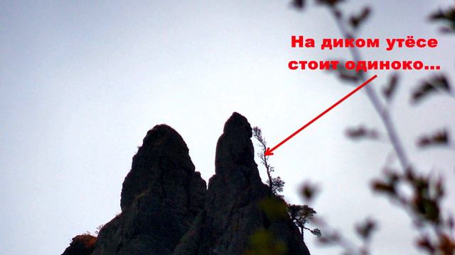 №18. Осенний Вело-Крым-2011, ДЖУРЛА. КОРОВЬЯ ТРОПА. смотреть онлайн