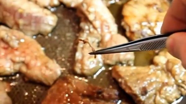 Глисты в свинной шее, глисты в мясе которое едим,паразиты в еде