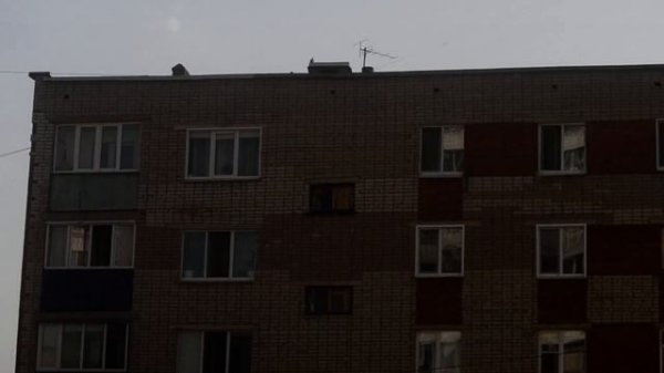 Nikon d 3100 проверка динамического диапазона (снимаю против света)