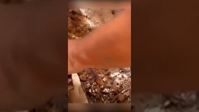 Скифы и Русские это один и тот же народ! смотреть онлайн
