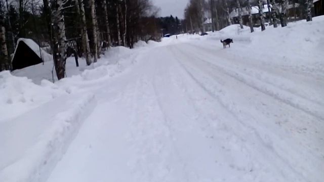 ПИНДУШИ!!! смотреть онлайн