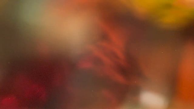 ILLUSORY PALINOPSIA смотреть онлайн