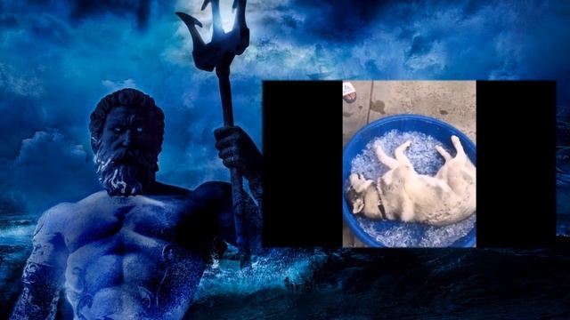 Гороскоп на август 2020 года для Водолей смотреть онлайн