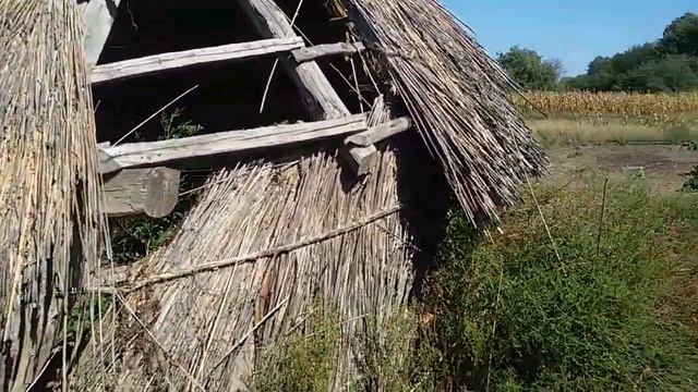 Сарай из соломы в селе,что внутри