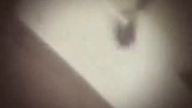 Corpse Fucking Art 1987 смотреть онлайн