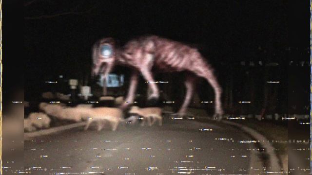 Вся информация о Большом Чарли | big charlie | Unnerving images смотреть онлайн