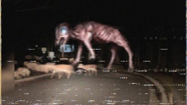 Вся информация о Большом Чарли | big charlie | Unnerving images