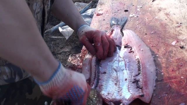 Разделка ЩУКИ!Для наших хозяюшек???? смотреть онлайн