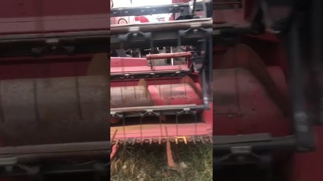 Комбайн зерноуборочный полесье 1218 экспресс-обзор от Владислава Кубрина смотреть онлайн