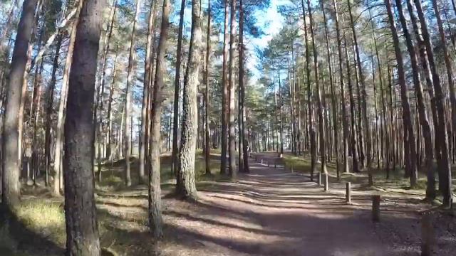 Kemeru nacionalais parks | Кемери - национальный парк. смотреть онлайн