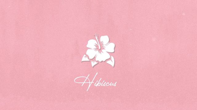 Lo-Fi House Beat - 'HIBISCUS' 🌺 смотреть онлайн