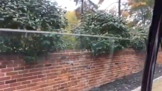 1971 Mercedes 280 SEL start up and Interior functions смотреть онлайн