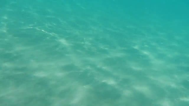 подводная съёмка смотреть онлайн