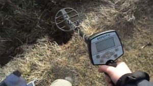 МЕТАЛЛОИСКАТЕЛЬ АКА БЕРКУТ 5 ТЕСТ НА ЗОЛОТО И СЕРЕБРО