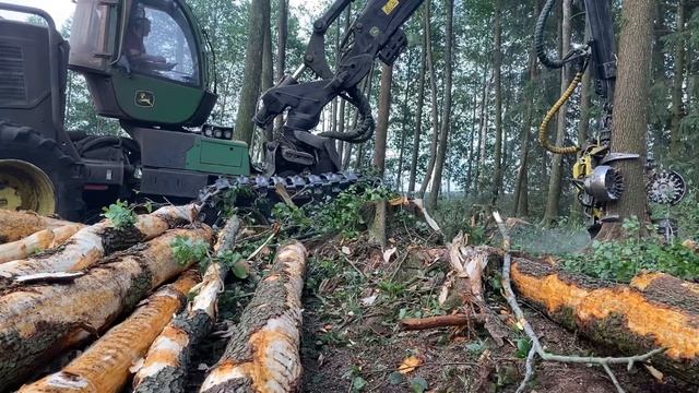 Ольха Черная-Или в простонародье «Панский Лес» смотреть онлайн