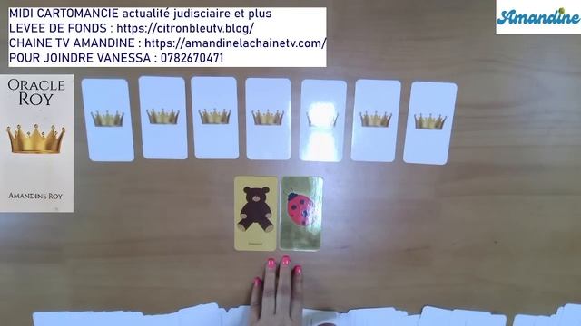 Midi Cartomancie Amandine Roy : quel est mon avenir global ? Tribunal Angers le 31 à 14h00 vs Macro смотреть онлайн