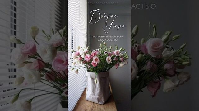 доброе утро хорошего дня и отличного настроения смотреть онлайн