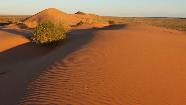 Я могла бы стать твоей смотреть онлайн