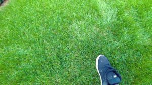 ЭКСТРЕМАЛЬНЫЕ ПРЯТКИ в большом доме ! OMG.. Как сюда ВТИСНУТЬСЯ ?  Картонка