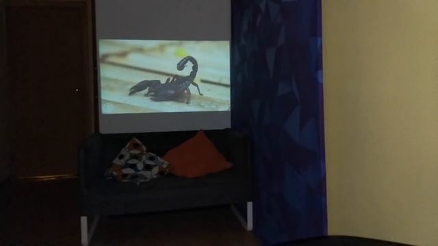 UNIC P1+ UNIC P1 DLP МИНИ ПРОЕКТОР