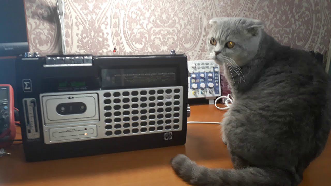 Vef260 Sigma FM
