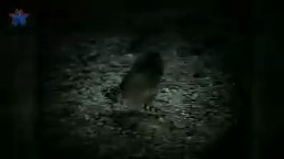 Christina Aguilera - Fighter