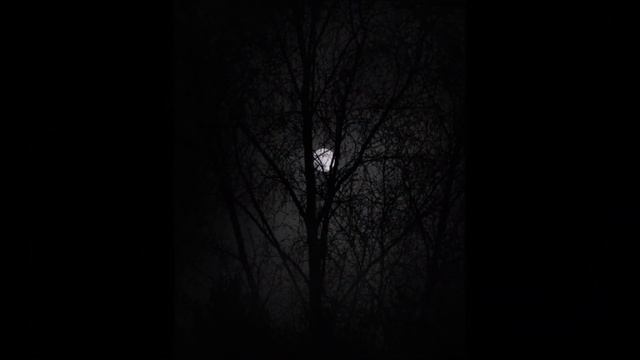 MIDNIGHT BLUE 1987 LOU GRAMM (HD/HQ Enhanced Quality Sound)