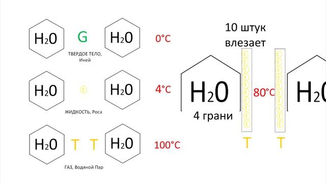 Почему температура тела человека 36,6°C? - Мыслить №130 смотреть онлайн