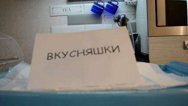 Как приучить щенка к лотку смотреть онлайн