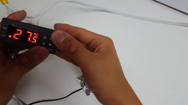 Pastel Candino x Albino -Ball Python Incubator смотреть онлайн