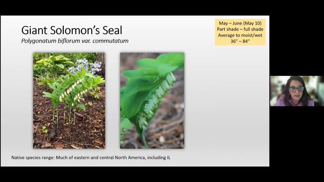 Natives Through The Season