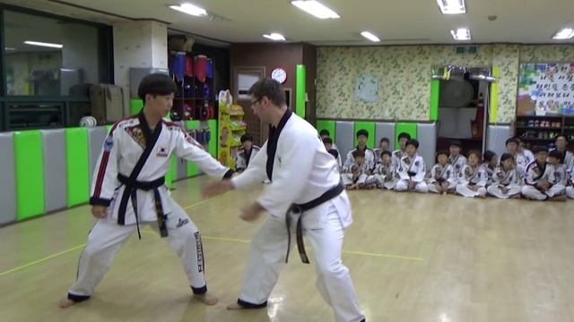 Master Dmitry Lozhensky Korea training 2015 смотреть онлайн