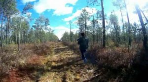 Васюганские болота.  Сентябрь 2022 года