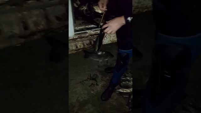 подводная рыбалка на волге 2015 год .