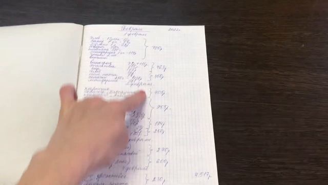 ВЛОГ: ШОППИНГ H&M и МОДИС// ИТОГ ЗА ФЕВРАЛЬ//БЛИНЫ смотреть онлайн