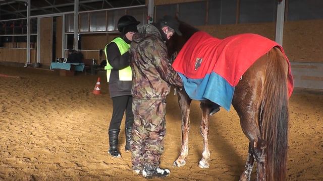 Конные пробеги Кайдало 3 02 18 смотреть онлайн