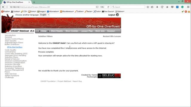 Buffer Overflow смотреть онлайн