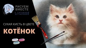 Рисуем котёнка. Сухая кисть в цвете. Приёмы рисования - видео урок.