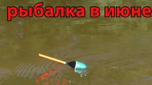 Рыбалка 15 июня на реке