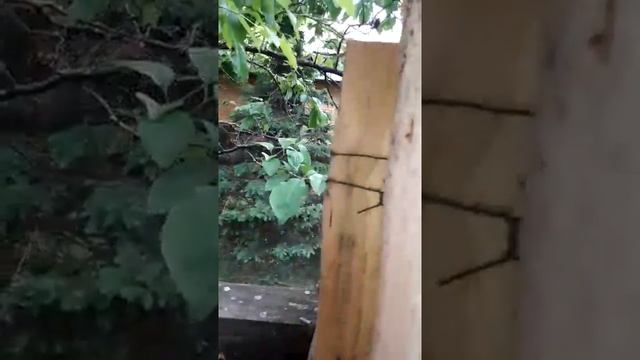 Дачи Москвы смотреть онлайн