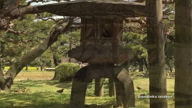 VLOG Tokyo* ВЕСНА смотреть онлайн