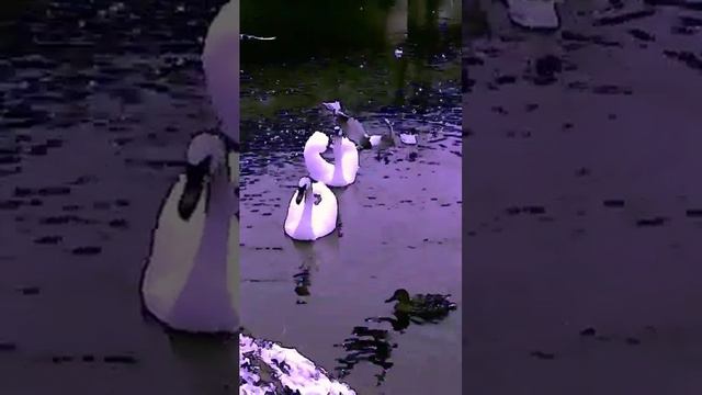 Зульфия Чотчаева/Всё пройдёт смотреть онлайн