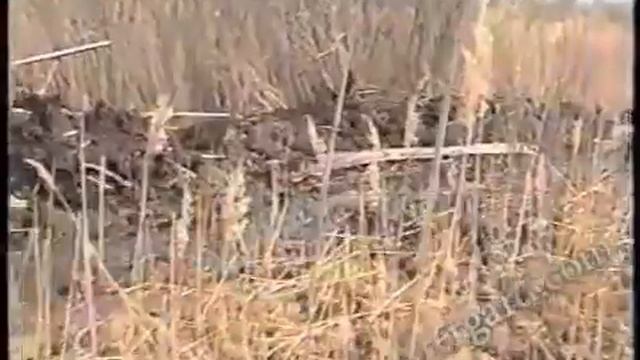 Подъем немецкой САУ StuG 40 смотреть онлайн